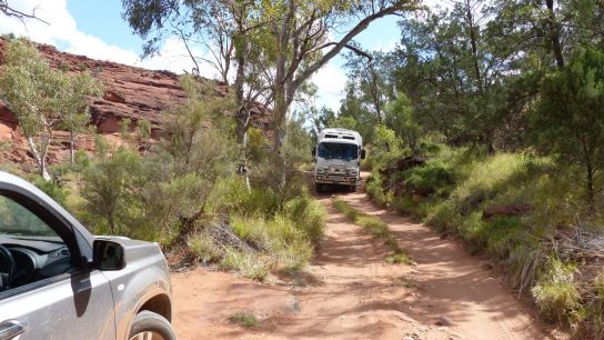 Palm Valley, Namatjira, NT