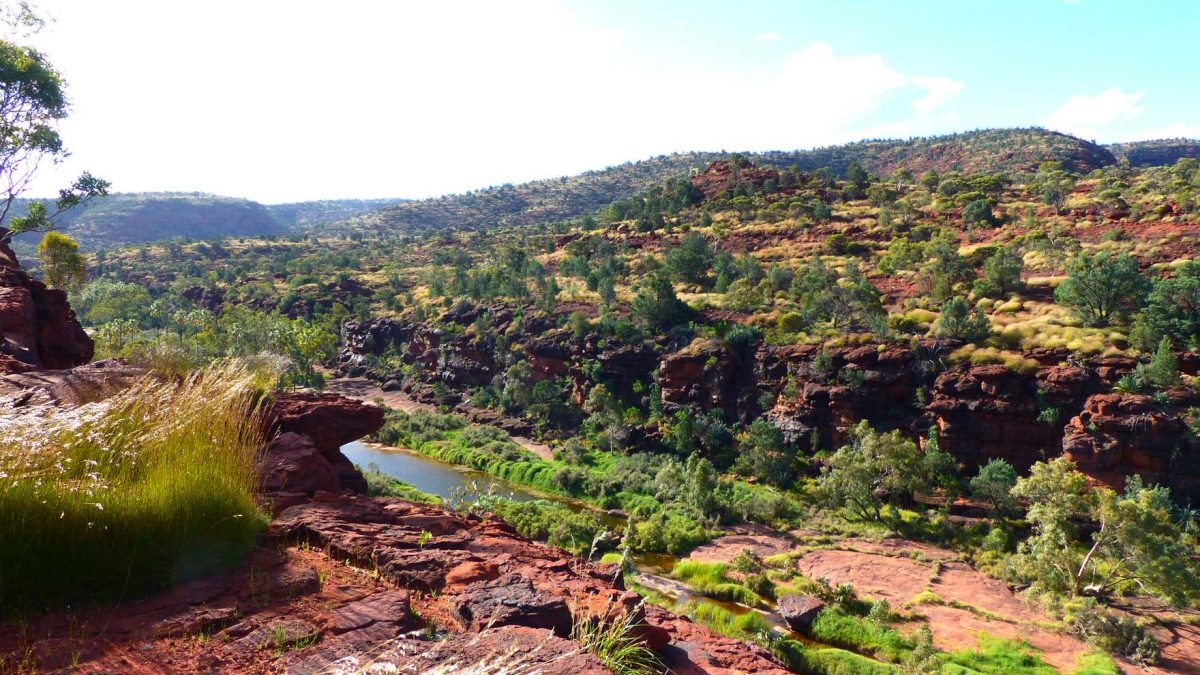 Palm Valley, Namatjira, NT