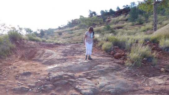 Palm Valley, Namatjira, NT