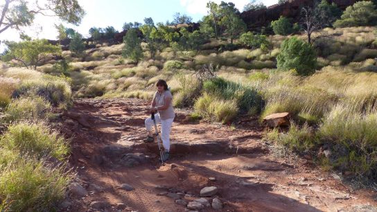 Palm Valley, Namatjira, NT