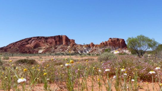 Rainbow Valley Conservation Reserve, Hugh, Northern Territory