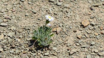 Henbury Meteorites Conservation Reserve, Ghan, NT