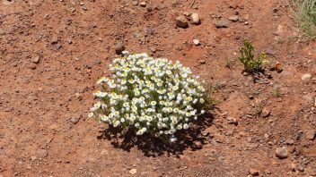 Henbury Meteorites Conservation Reserve, Ghan, NT