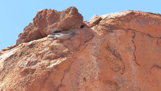 Devils Marbles, Warumungu, NT