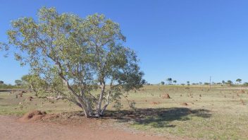 Telegraph Station, Tennant Creek, Northern Territory