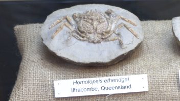 Australian Age of Dinosaurs, Corfield, Queensland