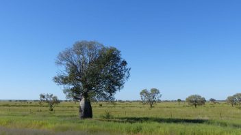 Blackall, QLD