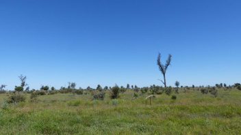 Tambo, QLD