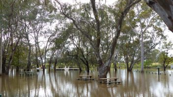 Nyngan, NSW