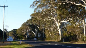 Bundanoon-NSW-P1250241