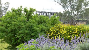 Dundullimal-Homestead-Dubbo-NSW