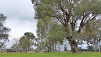 Dundullimal-Homestead-Dubbo-NSW