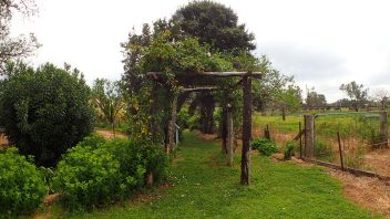 Dundullimal-Homestead-Dubbo-NSW