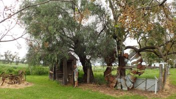 Dundullimal-Homestead-Dubbo-NSW