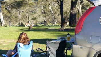 kosciuszko-national-park-nsw-blue-waterholes-campground