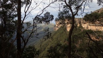 Blue Mountains, NSW