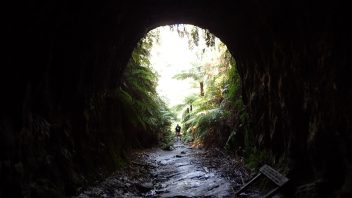 Blue Mountains, NSW