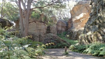 Blue Mountains, NSW