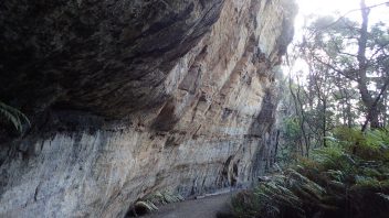 Blue Mountains, NSW