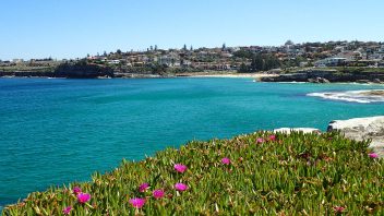 Bondi Beach, NSW