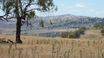 Wee Jasper NSW