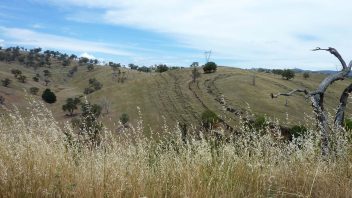 Wee Jasper NSW