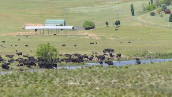 adaminaby-nsw-surroundings