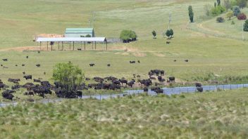 adaminaby-nsw-surroundings