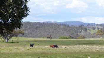 adaminaby-nsw-surroundings