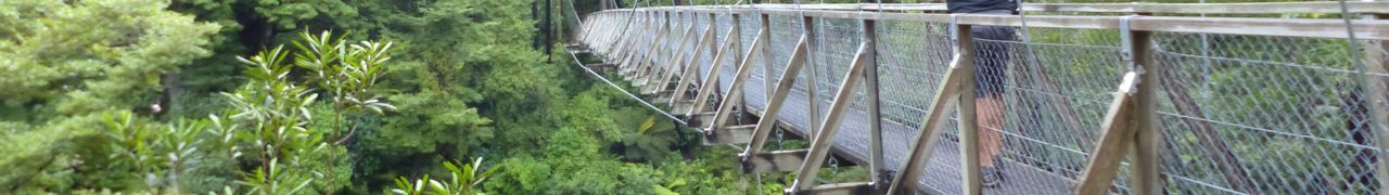 Kiwitrip – J6: Swinging-Bridge