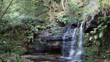 Fairy-Bower-Falls-Walk