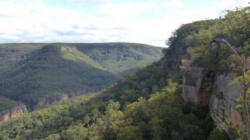 NSW-Morton-National-Park-Fern-Glen-Walk