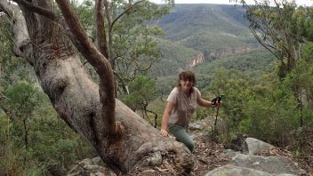 NSW-Morton-National-Park-Tooths-walking-track