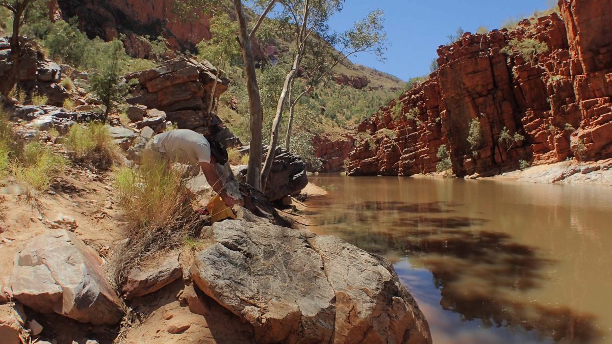 Ormiston Gorge