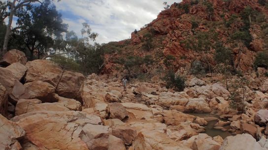 Redbank Gorge, Mount Zeil, Northern Territory