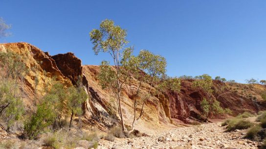 Ochre Pits, Burt Plain, Northern Territory