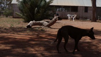 Hermannsburg, Northern Territory