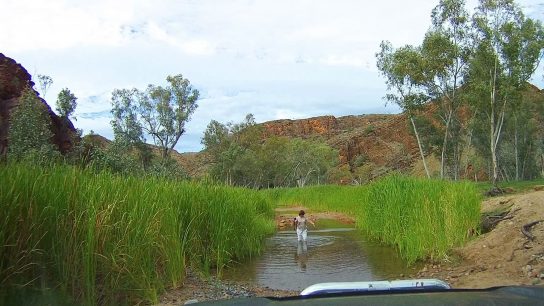 Ross River Resort, Hale, Northern Territory