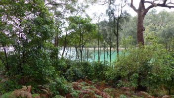 booderee-jervis-bay-Whiting-beach