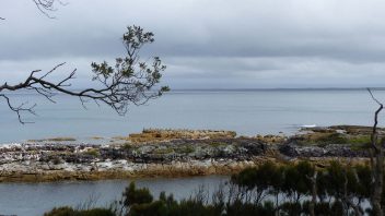 booderee-jervis-bay-Blacks-harbour