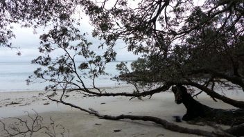 booderee-jervis-bay-Kittys-Beach