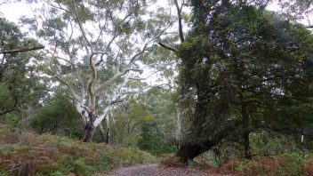 Booderee-Jervis-Bay