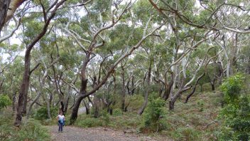 Booderee-Jervis-Bay